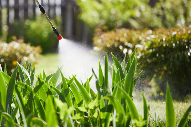 24/7 Emergency Termite Control experts in England, AR